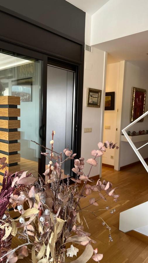 Ferienwohnung Atico De Diseno Con Terraza En El Centro De Olot Exterior foto